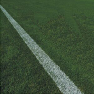 TRACCIATURA CAMPO DA CALCIO IN TERRA ED ERBA NATURALE WIMBLEDON PAINT